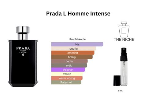 prada l'homme probe